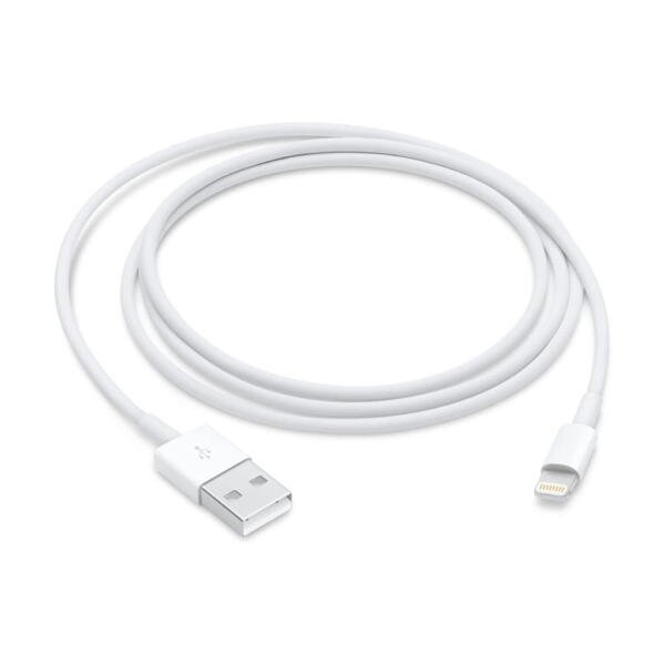 Apple USB to Lightning Cable ( Boxed )